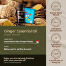 Gya Labs Ginger Essential Oil - 0.34 Fl Oz - Ginger Oil for Massage, Diffuser, Hair, Skin, Body & Candle Making Scent by CozyNest Decor