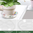 BORPEIN Plant Saucer (6,8,10,12inch, 24 Pack) Clear Plastic Plant Trays for Pots Indoors Outdoors, Thicker Flower Pot Saucers, Plant Plate to Catch Water by GreenHaven Gardens