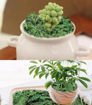 35 OZ Artificial Moss for Fake Plants and Planters - Decorative Faux Moss for Craft and Home Decor by CozyNest Decor
