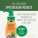 Miracle-Gro Succulent Potting Mix, For Indoor Succulents, Aloe Vera and More, Made with Miracle-Gro Plant Food, 4 qt by GreenHaven Gardens