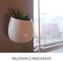 Milltown Merchants Succulent Wall Planter - Black Ceramic Wall Mounted Planter - Succulent Plant Pot - Hanging Vase for Living Wall (1 Pack/Modern/White) by GreenHaven Gardens