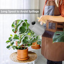 Watering Can Indoor Plants, 35oz Small Watering Can Indoor Stainless Steel Metal Watering Can Modern Decorative Watering Pot with Long Spout for Indoor House Plant Bonsai Garden Flowers (Gray) by GreenHaven Gardens
