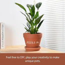 INGOFIN Terracotta Pots Set with Saucer - 2-Pack Ceramic Clay Planters with Drainage Hole, Garden Flower Succulent Pots with Tray for Indoor Outdoor Plants, 8 inch, Set of 2 by CozyNest Decor