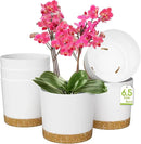 ZMTECH Plant Pots, Set of 6 6.5'' Self Watering Plastic Planter with Drainage Hole and Saucer,Modern Decorative Flower Pot for Indoor Outdoor House Plants, Succulents, Flowers - White by GreenHaven Gardens