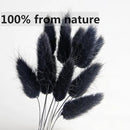 115 PCS Black Pampas Grass Bouquet, Boho Table Decor, Black Bunny Tails Dried Flowers, Dried Pampas Grass for Weddings, Home Decor, Rustic Parties, and Baby Shower Decorations by CozyNest Decor