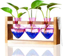 Nacome Plant Terrarium for Office Decor: Birthday Gifts for Plant Lovers Women Mom Wife - Wooden Stand Tabletop Planter 3 Bulb Glass Vase Heart Shaped for Hydroponics Indoor Home(Purple) by GreenHaven Gardens