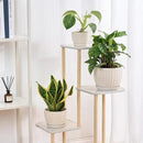 4/5/6 Inches Ceramic Plant Pots with Drainage Holes and Saucers, Round Flower Pots for Indoor Plant, Modern Flower Planters Set of 3 (White-Big Size) by CozyNest Decor