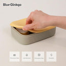 BLUE GINKGO Silicone Lunch Box Set – Durable Heavy-Duty Silicone Bento Box, Microwave, Freezer, Dishwasher Safe – Airtight, BPA Free (Made in Korea, Grey) by TinyTreasures Baby Boutique