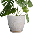 8 Inch Ceramic Pots for Plants Large Planter Pot with Drainage Hole and Saucer Round Flower Pot for Indoor Outdoor Decor, White by GreenHaven Gardens