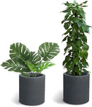 Kante 15.7" Dia Round Concrete Planter, Modern Style Large Cylindrical Plant Pot with Drainage Hole and Rubber Plug for Indoor Outdoor Patio, Charcoal by GreenHaven Gardens