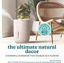 Homedics Natura Ultrasonic Warm & Cool Mist Humidifier, 1.3-Gal for Large Rooms, 60-Hr Runtime, Plant Holder, Programmable Humidity, Auto Shutoff, Nightlight Small Plant Compatible(Plant Not Included) by TinyTreasures Baby Boutique