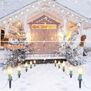 C9 Christmas Pathway String Lights Outdoor - 2 Pack Total 51.4 FT 40 Clear Lights with 40 Stakes, Connectable Waterproof Walkway Lights for Indoor Xmas Party Holiday Commercial Decoration, Warm White by GreenHaven Gardens