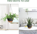 Hanging Planters for Indoor Outdoor Plants, 2 Pack Self Watering Hanging Pot with Drainage Holes & Removable Tray (Black, 8'') by GreenHaven Gardens
