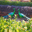 DREAMSOUL Set of 2 Peacock Garden Statues Metal Garden Sculptures & Statues Yard Art Peacock Statue by GreenHaven Gardens