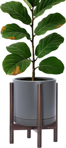 D'vine Dev Ceramic Planter with Walnut Color Stand - 12 Inch Modern Round Flower Pot with Wood Planter Holder, Grey, 55-B-W-3 by GreenHaven Gardens