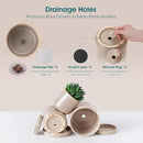 vancasso Ceramic Plant Pots, 3 Piece Planters for Indoor Plants, 4.25+5.25+6.25 Inch Flower Pots with Drainage, Plant Pots Indoor for Succulent, Pothos, Snake Plant and Money Tree, Etc (Gray) by GreenHaven Gardens