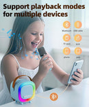 Mini Karaoke Machine Speaker for Kids Adults, Portable Bluetooth with 2 Wireless Microphones, Children's Day Birthday Gift Ideas for Toys for Teens Boys and Girls Aged 4, 5, 6, 7, 8, 9, 10, 11, 12+ by TinyTreasures Baby Boutique