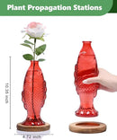 Nacome Fish Vase Glass Plant Terrarium with Wooden Stand,Planter Propagation Station for Home Office Hydroponics Desk Decoration,Unique Gardening Gifts for Plant Lovers Women Mom(Red) by CozyNest Decor