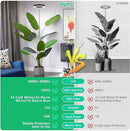 LORDEM Plant Grow Light, Full Spectrum Plant Light for Indoor Plants, Brightness Adjustable LED Growing Lamp with Auto On/Off Timer 4H/8H/12H, Height Adjustable, 2 Packs of Black by GreenHaven Gardens