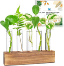 KAXYEW Plant Propagation Station, Plants Propagation Tubes, Gifts for Plant Lovers, Plants Cutting Holder Test Tube Vase Office Desk Garden Décor Gift for Her Mom Women Hydroponic Vase Gift Box by GreenHaven Gardens