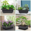 GROWNEER 6 Pack 9 Inch Bonsai Pots with Drainage Humidity Trays, Bonsai Tree Training Kits with 1 Repotting Mat, Plant Container Planter Growing Pot for Garden Outside Indoor by GreenHaven Gardens