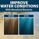 Airmax Pond Dye Plus, Twilight Blue Colorant & Natural Beneficial Bacteria, Large Pond & Lake Water Clarifier & Color Treatment, Shade Plants & Algae from Sunlight, Fish & Livestock Safe, 4 Gallons by GreenHaven Gardens