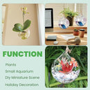 Ivolador Hanging Planter Glass Terrarium Container Air Plant Holder Succulents Globe Shape Home Garden Decor-4.7 Inches-3PCS by GreenHaven Gardens