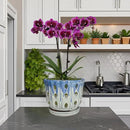 Ceramic Orchid Pot with Drainage Hole 6'' Orchid Planter (Blue Cover White) by GreenHaven Gardens