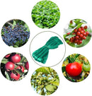 CandyHome 13Ft x 33Ft Anti Bird Protection Mesh Garden Netting Seedlings Plants Flowers Fruit Trees Vegetables from Rodents Deer Reusable Fencing, Green by GreenHaven Gardens