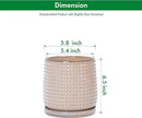 D'vine Dev 6 Inch Ceramic Beaded Stoneware Planter Pot - Flower Pot with Drainage Holes and Saucers for Indoor Succulent Plants or Flowers, Light Brown, 27-C-X-4 by GreenHaven Gardens