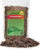 Premium Potting Mix for Kalanchoe Plants by Gardenera - Achieve Thriving and Healthy Growth - 2 Quart by GreenHaven Gardens