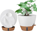 montresor 2 Pack 8 inch Plant Pots, PP Plastic Self Watering Plant Pot with Drainage and Tray for Indoor Outdoor Plants, Water Level Window & Reservoir Flower Pots Decorative Planter(White) by CozyNest Decor