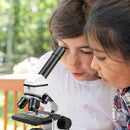 Microscope for Adults Kids, Dcorn 100X-2000X Powerful Biological Microscopes for School, Home, and Lab Use, Includes Microscope Slides Set and Phone Adapter. by TinyTreasures Baby Boutique