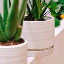 6 + 8 Inch Plant Pots, Ceramic Planter Pot with Drainage Hole & Saucer, Indoor/Outdoor Cylinder Round Planter Pot, Matte White by CozyNest Decor