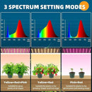 Barrina Plant Shelf with Grow Light, 5-Tier, Plant Stand with 40W Ultra-Thin Grow Light Panel for Hydroponics, Seedlings, Succulents, Flowers, Veg, 3/6/12h Timer, 15.7" L x 11.8" W x 59.1" H by GreenHaven Gardens