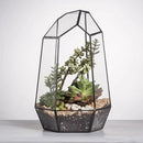 NCYP Geometric Glass Terrarium Planter for Succulent, Small Cacti, Black Irregular Opened Container Pot, Indoor Home Garden Office Tabletop Decor, 6.5" x 5.7" x 9.8" (No Plants, No Door) by CozyNest Decor