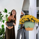 ZMTECH 12 Inch Hanging Planters for Indoor Outdoor Plants, 1 Pack Self Watering Hanging Plant Pots with Drainage Holes and Removable Saucer, Plastic Flower Hanging Pots with Watering Lip (Black) by GreenHaven Gardens