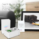 Dog Memorial Gifts, Unique Loss of Pet Sympathy Idea, Green Crystal Ball Rainbow Suncatcher with Paw Print for Cat or Dog Remembrance and Bereavement by GreenHaven Gardens