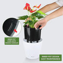 Dexceder 9x8 Inches High Gloss Self Watering Planter Indoor Outdoor, Inner Pot Design, Thickened Table Flower Plant Pot with Water Level Indicator (White) by GreenHaven Gardens