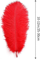 THARAHT Red Ostrich Feathers 12pcs Natural Bulk 10-12Inch 25cm-30cm for Crafts Wedding Party Centerpieces Halloween and Home Decoration Feathers by CozyNest Decor