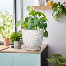 G EPGardening 8 Inch Ceramic Plant Pot with Drainage Hole and Saucer Round Planter Pot for Indoor Outdoor Plants Modern Large Flower Pot White by GreenHaven Gardens