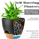 Self Watering Plants Pot with Drainage Hole, Flower Plants Pots for Indoor & Outdoor, Black Plastic Self Watering Planters Succulent Pot 5pcs/Set by GreenHaven Gardens