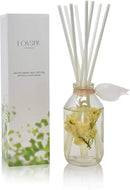 LOVSPA Reed Diffuser Set, Coconut Cabana Scented Oil Diffuser with Sticks, Home Fragrance Accessories for Bathroom Shelf Decor, Aroma Diffusers for Home or Office Desk, USA Made by CozyNest Decor