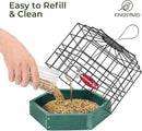 Kingsyard Squirrel Proof Platform Bird Feeders for Outdoor Hanging, Caged Bird Feeder for Small Wildbirds, Recycled Plastic Feeding Platform with Metal Seed Tray, Green by GreenHaven Gardens