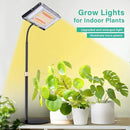 LBW Grow Light for Indoor Plants, 144 LED Full Spectrum Plant Light for Indoor Plants, Large Desk Grow Lamp with 4H/8H/12H Timer, 6-Level Brightness, Height Adjustable, Flexible Gooseneck by GreenHaven Gardens