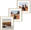 HAUS AND HUES Solid Oak Wood 16”x16” Picture Frames Matted to 12”x12” Set of 3 - Beige Square Frames 16x16, 16 x 16 Print Frames, Natural Wooden 16x16 Picture Frames Square (Beige Oak Frames) by CozyNest Decor