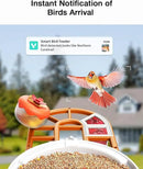 Smart AI Bird Feeder with Camera: Solar-Powered, 2K Live Video, Bird‘s Species Identification, Arrival Alerts, and Motion Capture –Wireless Bird Camera for Watching Birds (Orange) by CozyNest Decor