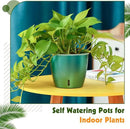 Self Watering Pots for Indoor Plants, 12-Pack 5'' Self Watering Planter with Drainage Holes, Small African Violet Pots with Water Indicator, Clear Wick Pot, White/Black/Blue/Rose Gold by CozyNest Decor