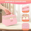 PIIOSER Breast Milk Cooler Bag with 2 Ice Pack, Fit 6 Breastmilk Storage Bags Up to 8Oz, Insulated Baby Bottles Tote Bag for Daycare and Breastfeeding Mom (Pink-XS) by TinyTreasures Baby Boutique