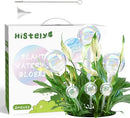 Plant Watering Globes, 6PCS Iridescent Rainbow Gradient Color Clear Glass Bulbs Self Watering Spikes Planter Insert, Automatic Plant Waterer Bulbs Devices for Various Plants by GreenHaven Gardens